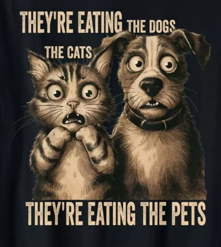 Чому Дональд Трамп у висловлюванні «They are eating the dogs, they are eating the cats, they are eating the pets» використовує артикль з множиною?