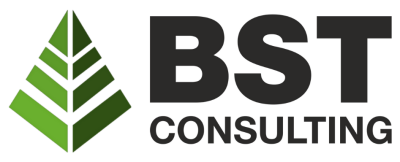 BST Consulting